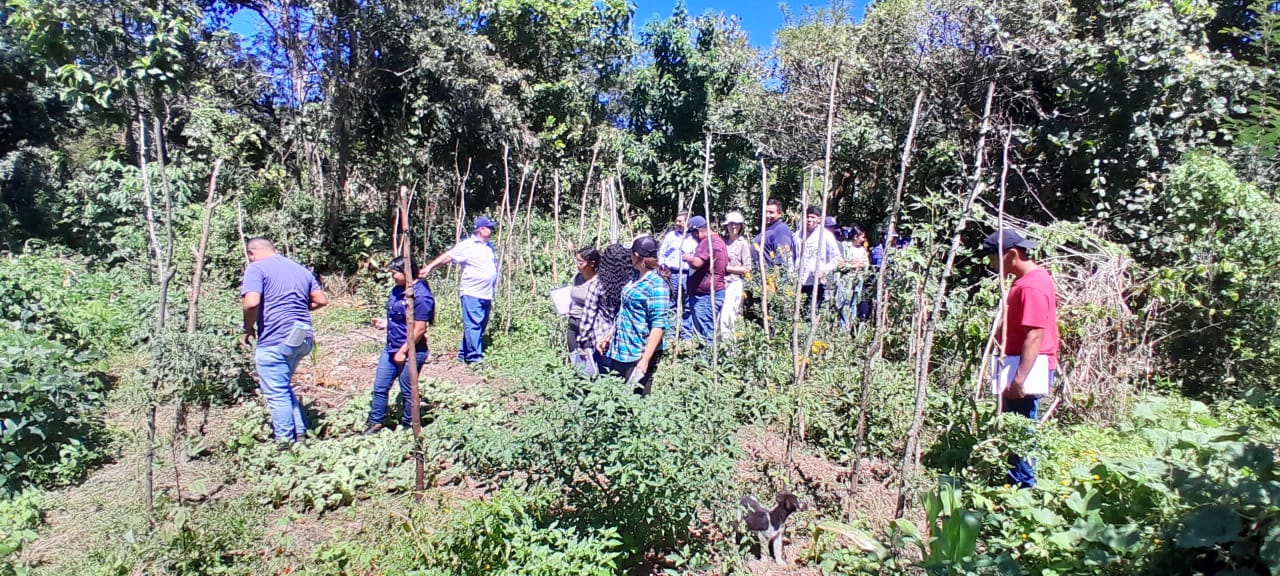 agricultro Alejandro escobar parcela 21